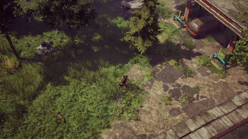 Scavenging at the edge of the forest